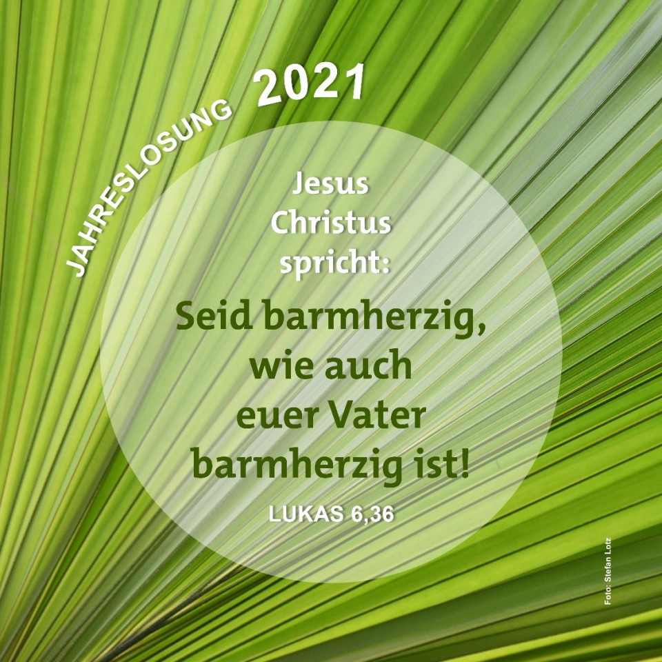 Bild1 Bild1