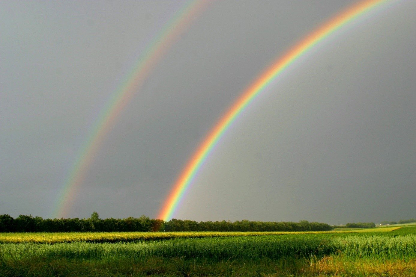 Regenbogen